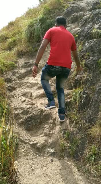 @Seydu Rasheed