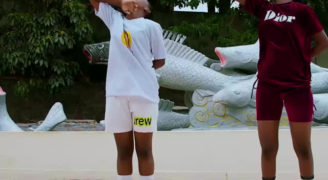 @ZariDancers_funpage