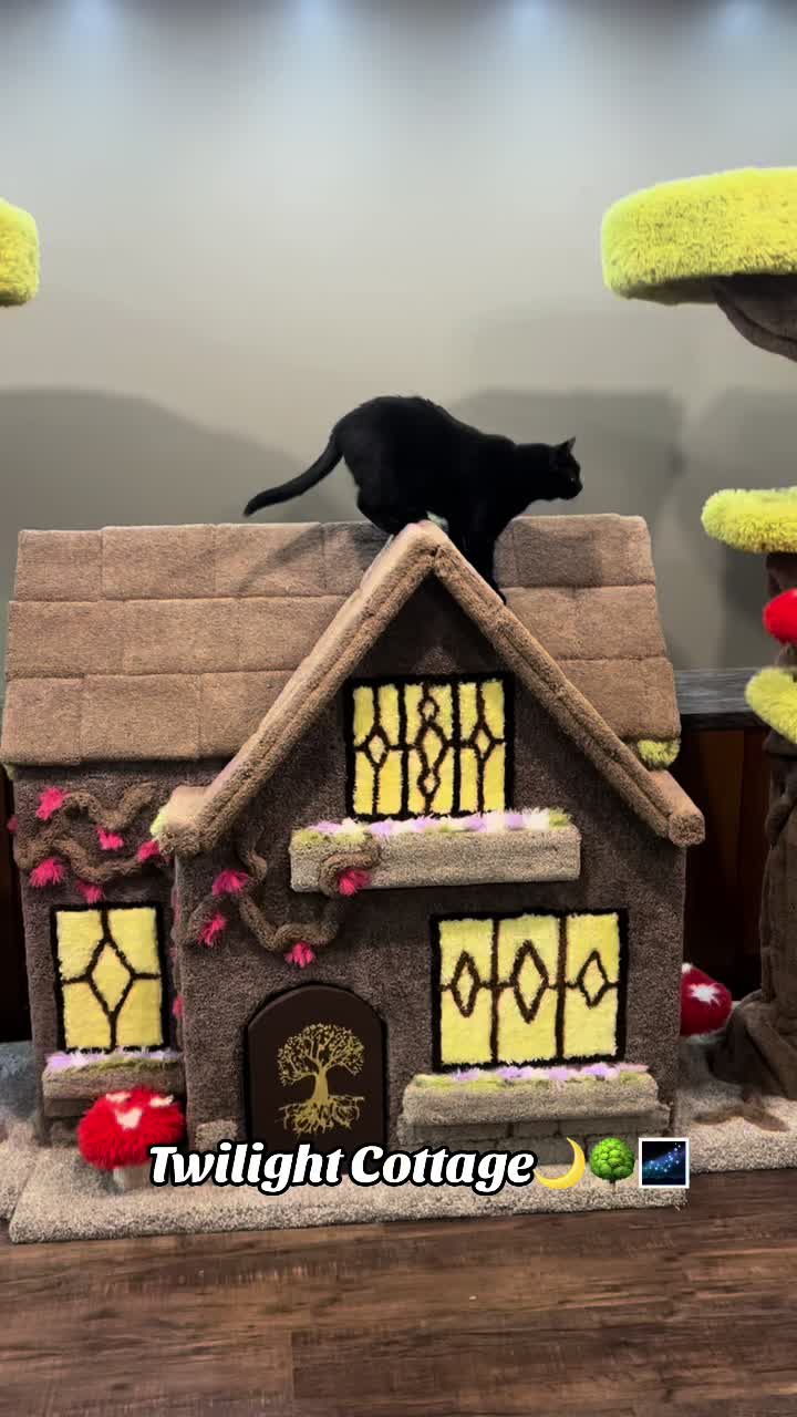 @customcatcribs