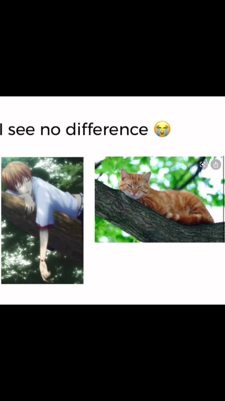 @鍬