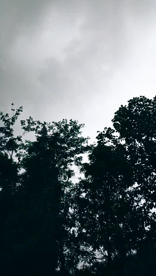 @ruchikachoudhary1818