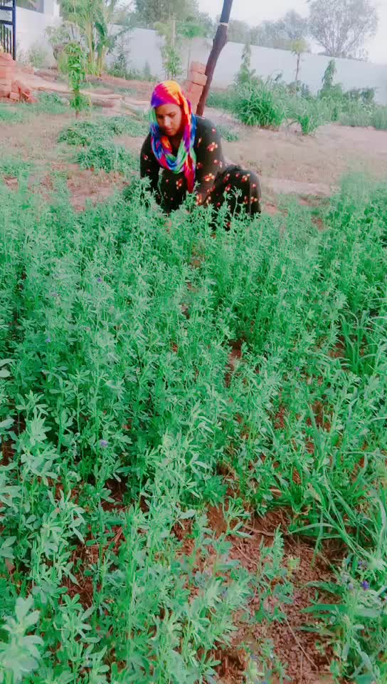 @Sangya Meena