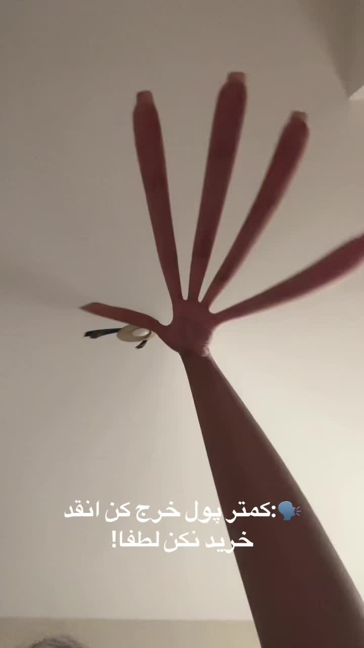 @Elisa Mazarei