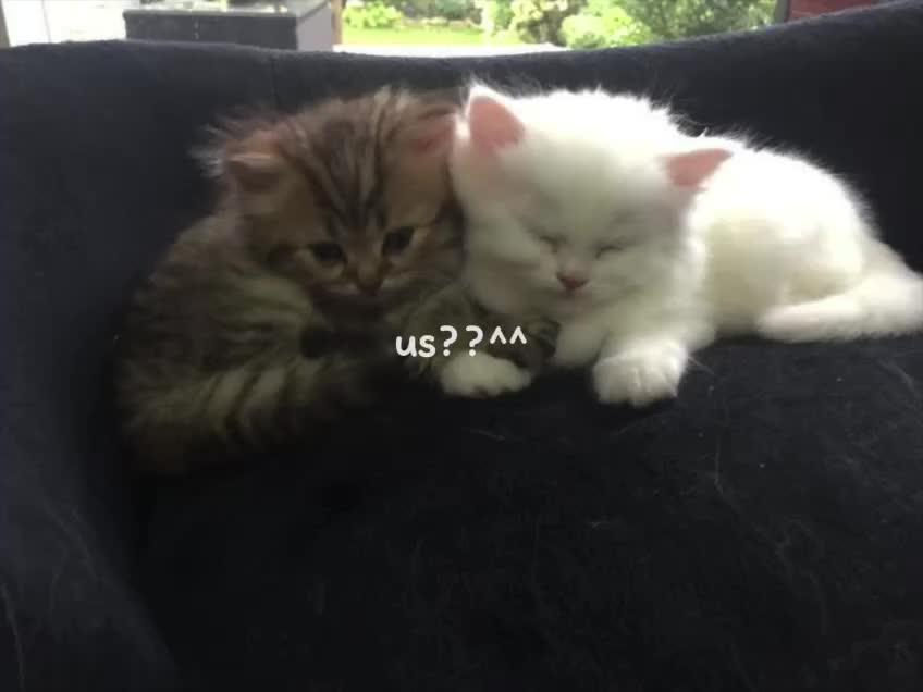 @˚ ༘🪲дядя ᴋᴩ4ᴨᴇᴩ777✶⋆.˚^𐃷^