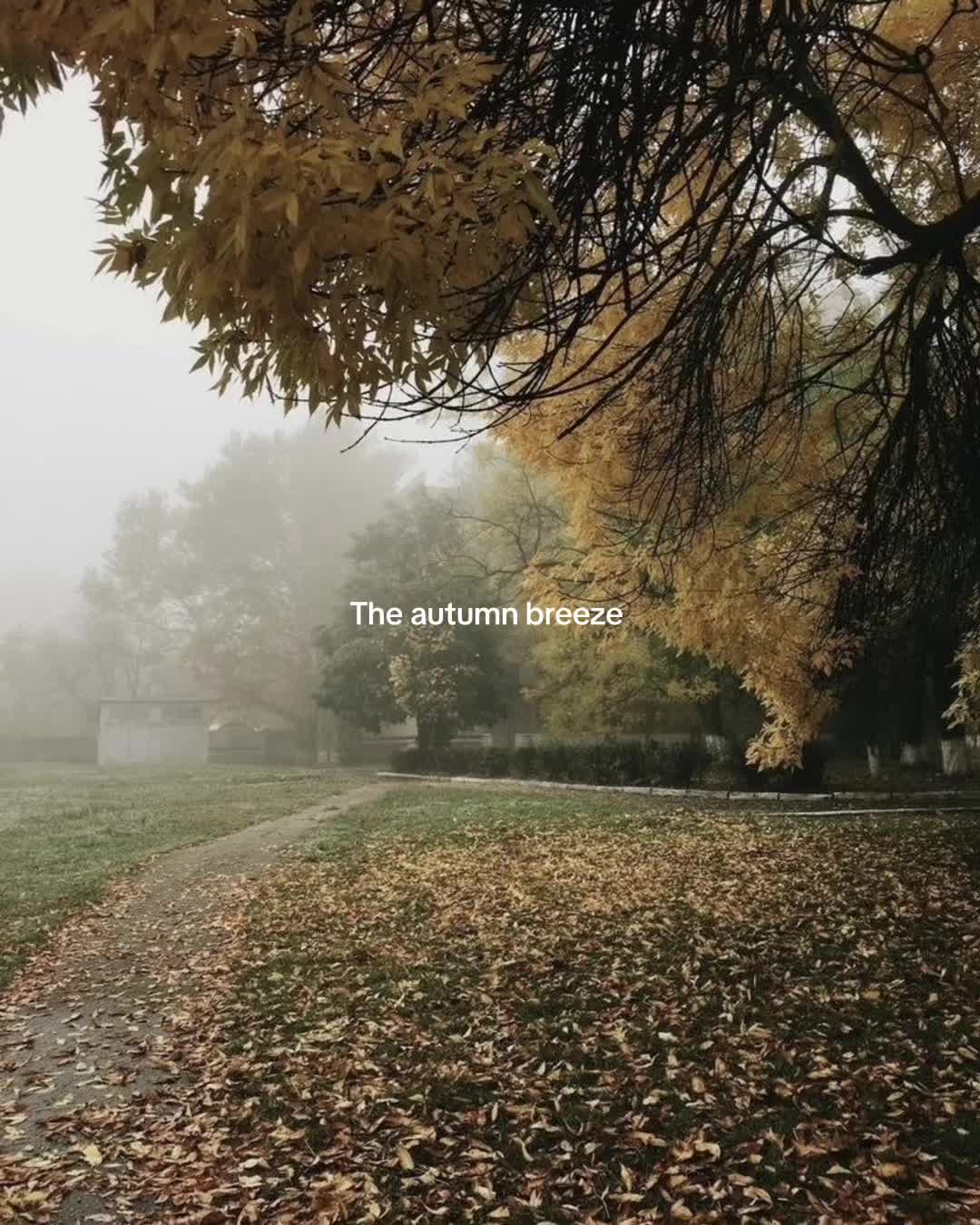 @๐๐๐