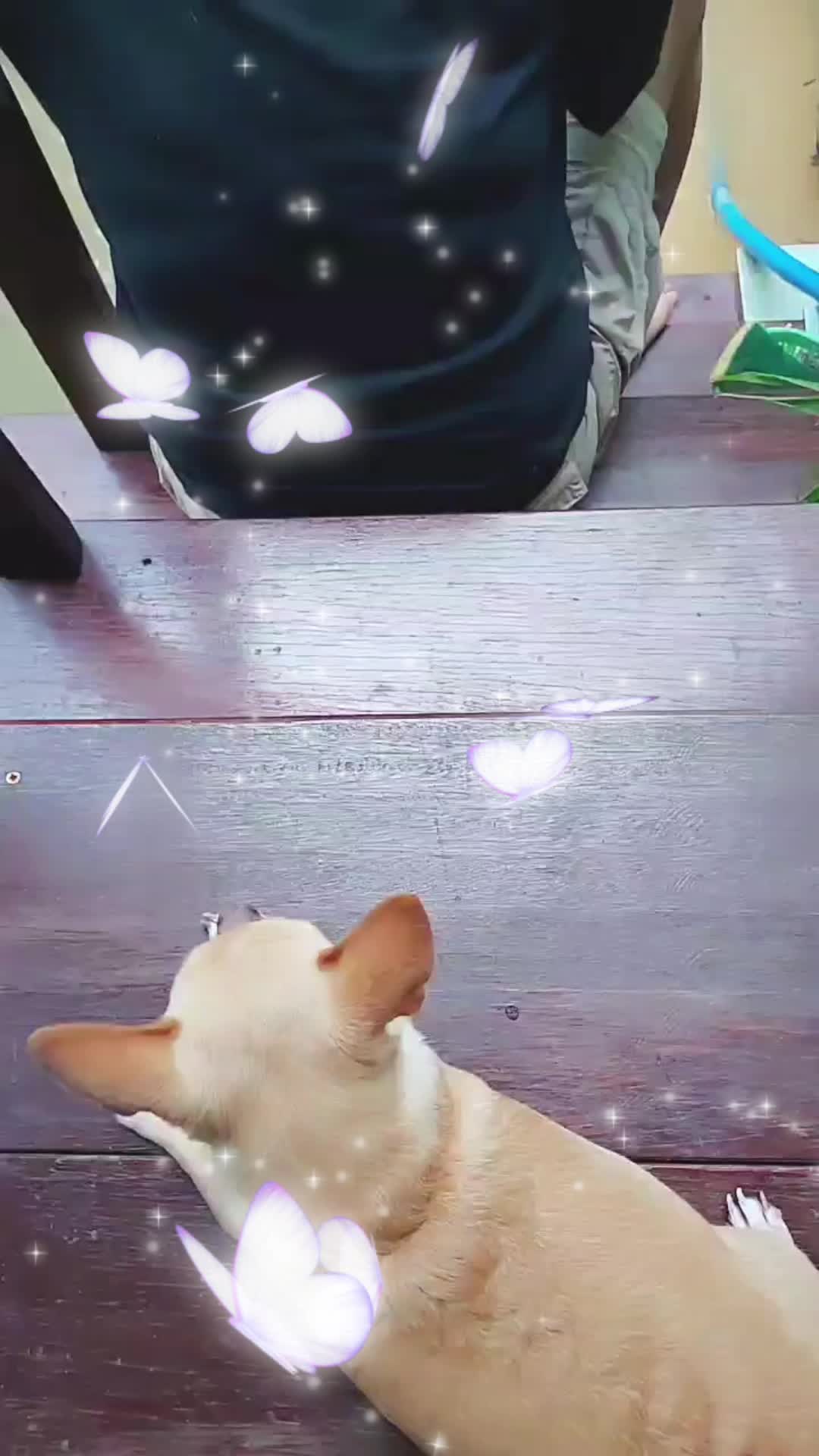 @fanggy