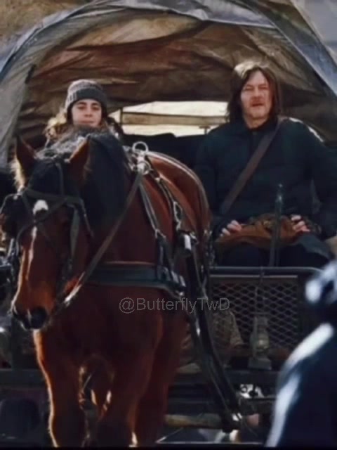 @ButterflyTWD 🦋