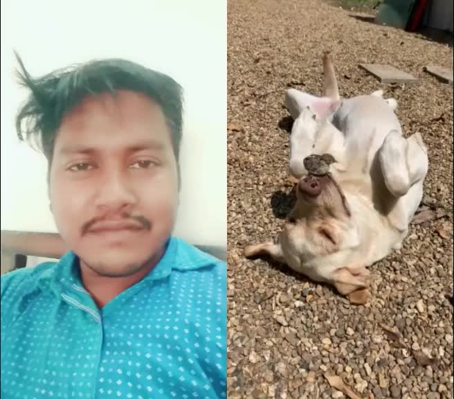@Jogi Singh