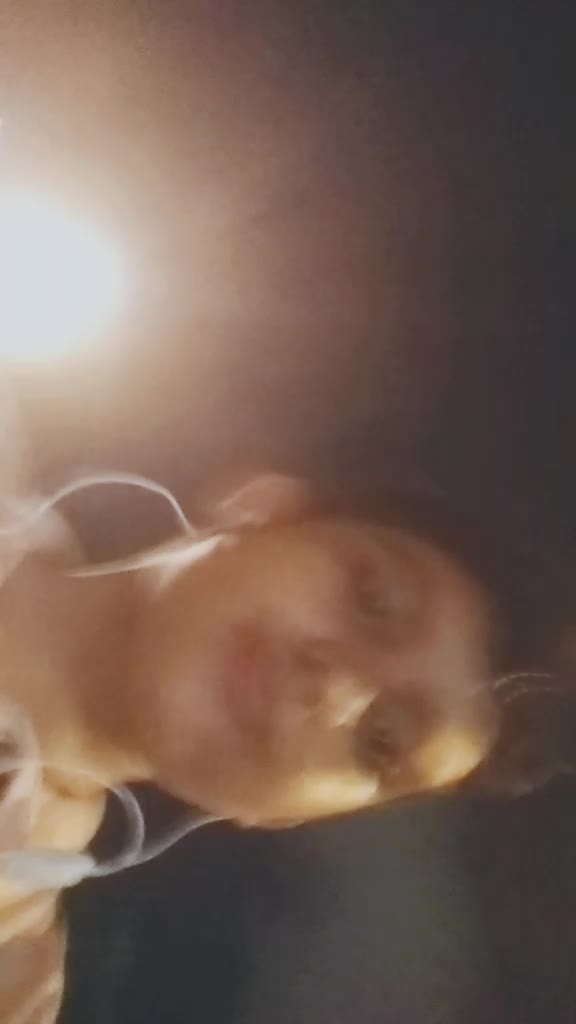 @Krishagicha7