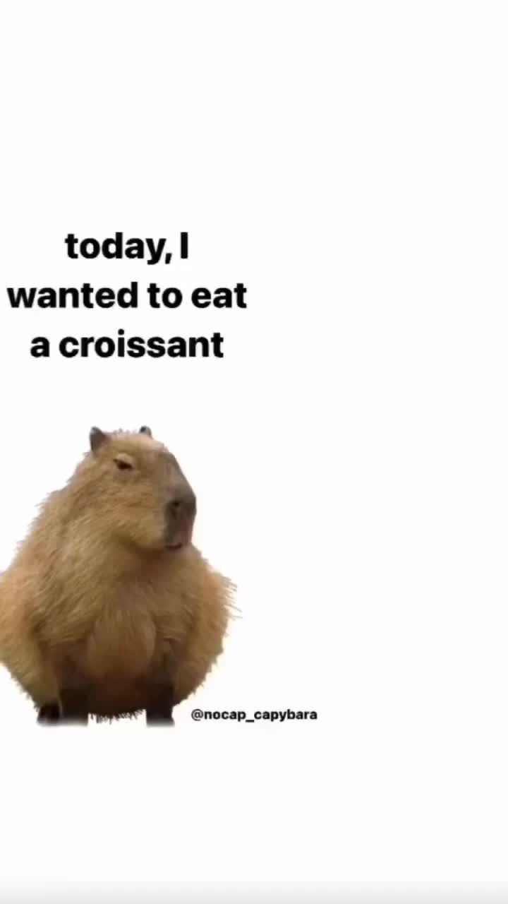 @MemeCutsHub