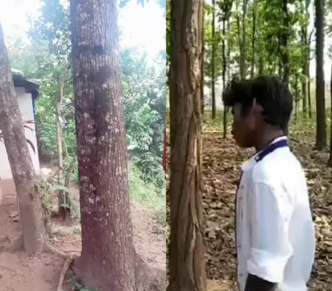 @sudheesh