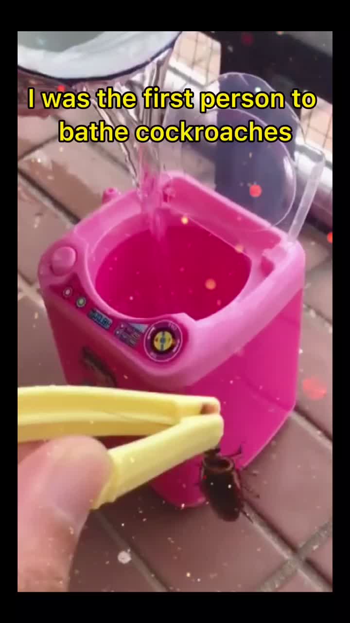 @Fun took