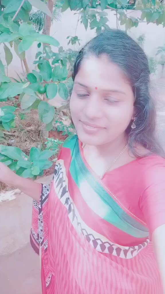 @palanidevi