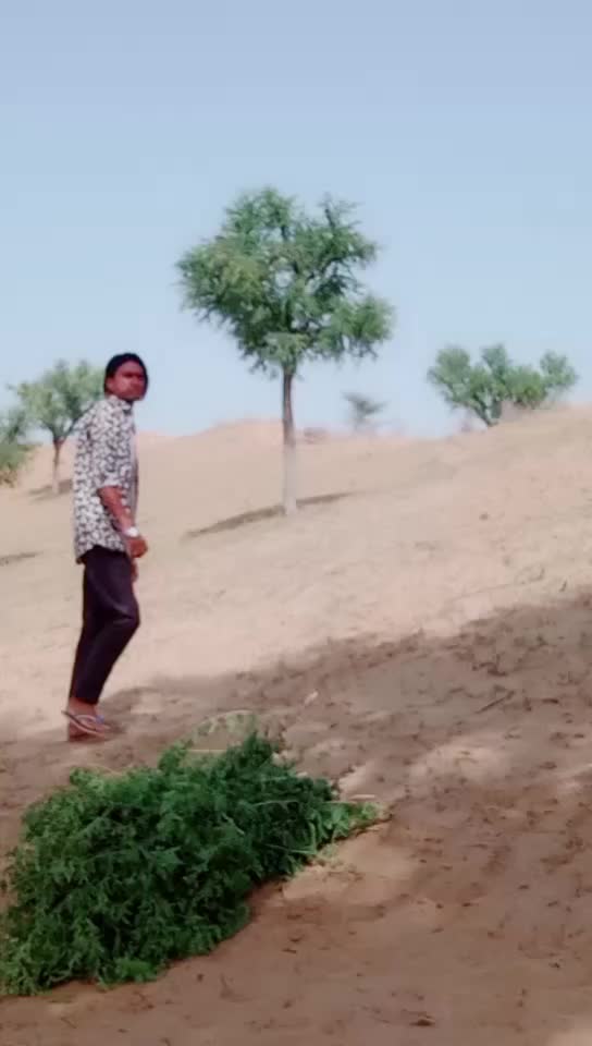 @Ramniwas meghwal budhwali