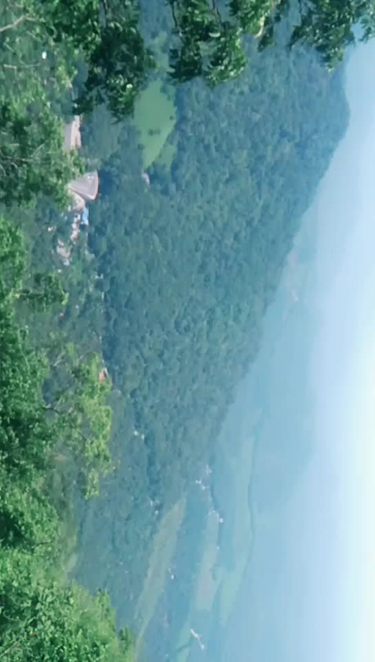 @achoo sreedharan8429