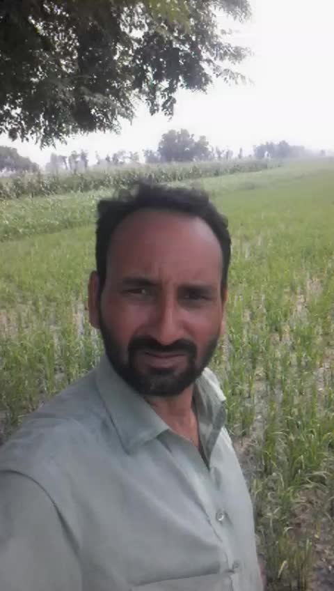 @user9708578189723