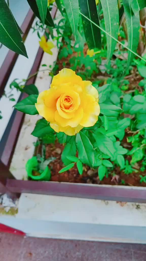 @๐ถ ๐ง ๐ฎ ๐ฐ ๐ฟ