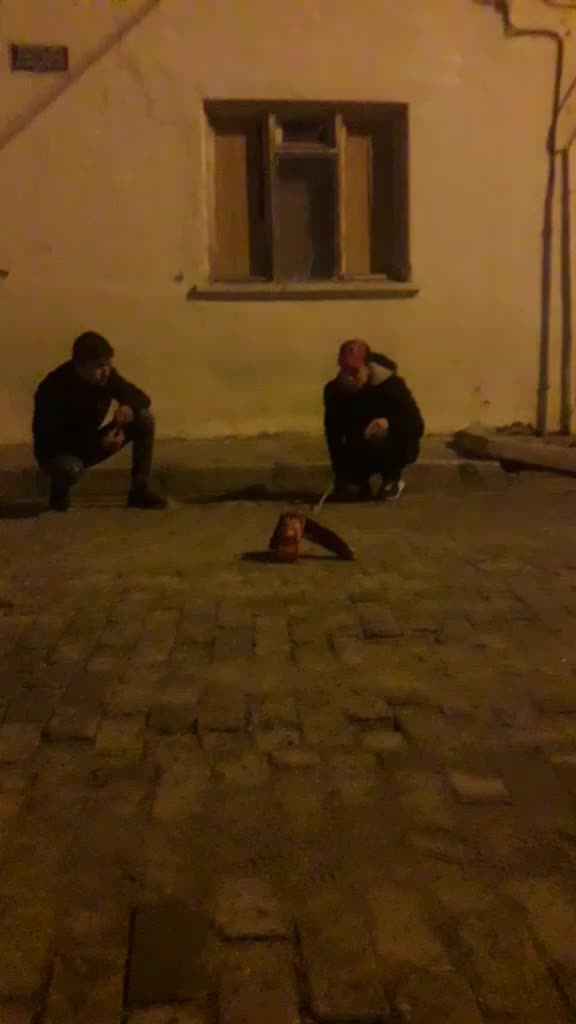@sarı0951