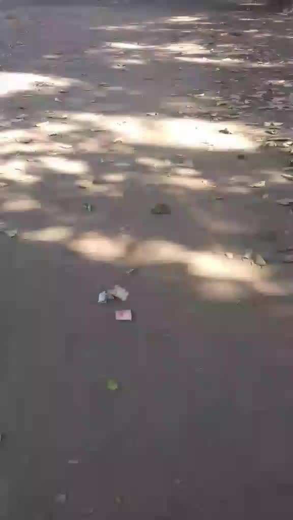 @Salman Mansuri
