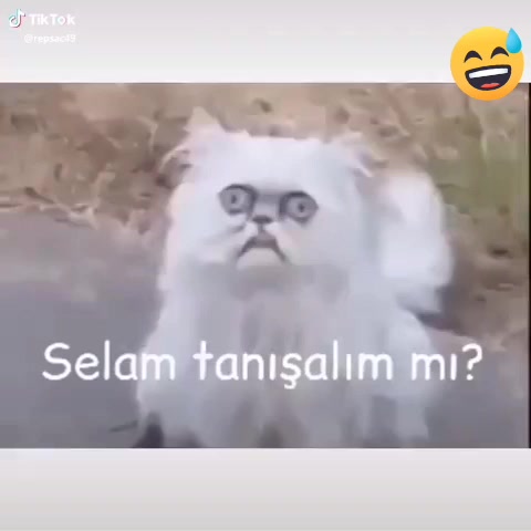 @💖melek kaya tmk💖
