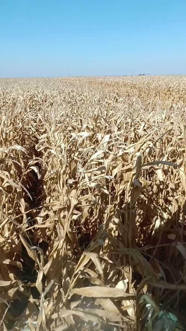 @sadık ovalı