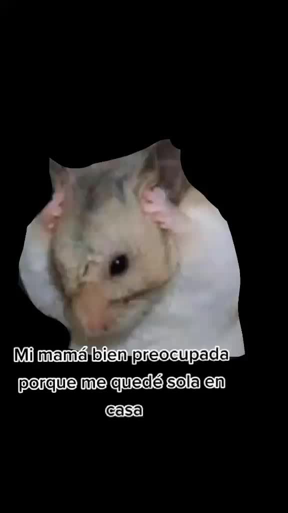 @amore_perez1