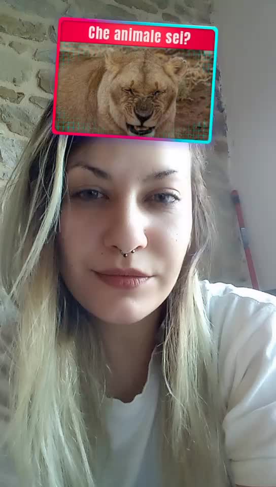 @Giorgia Angilella