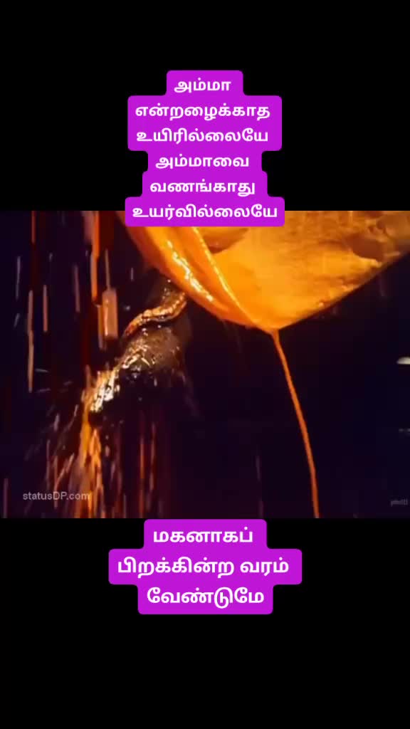 @shivashivu