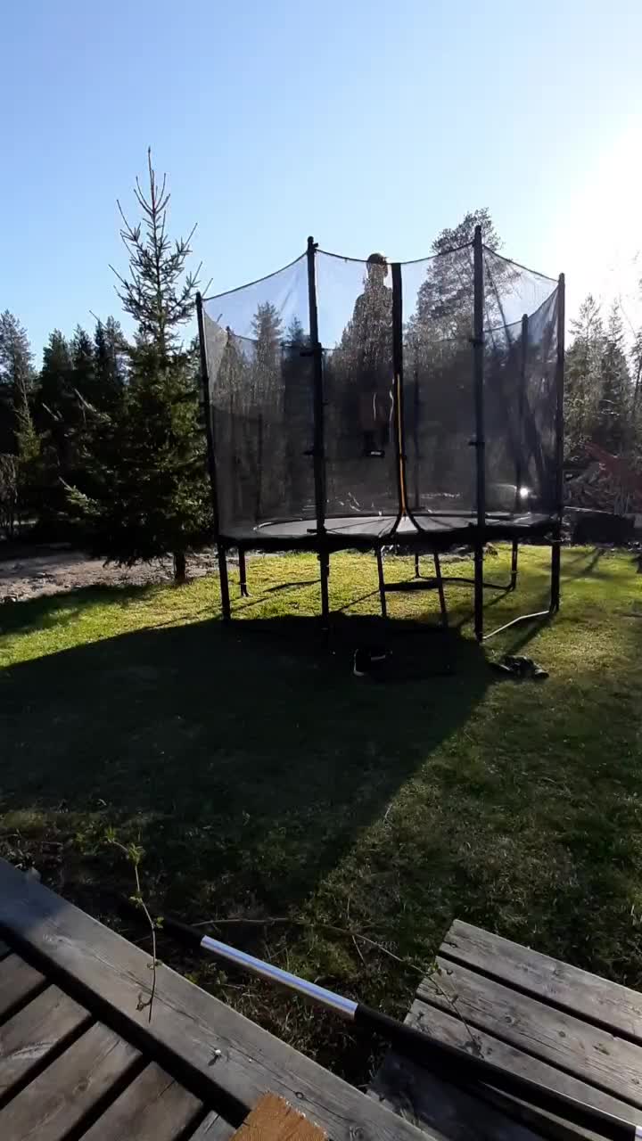 @mandoliino_pro