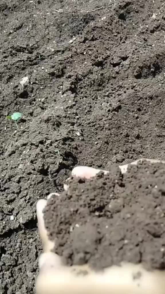 @आकाश पानसरे पाटील