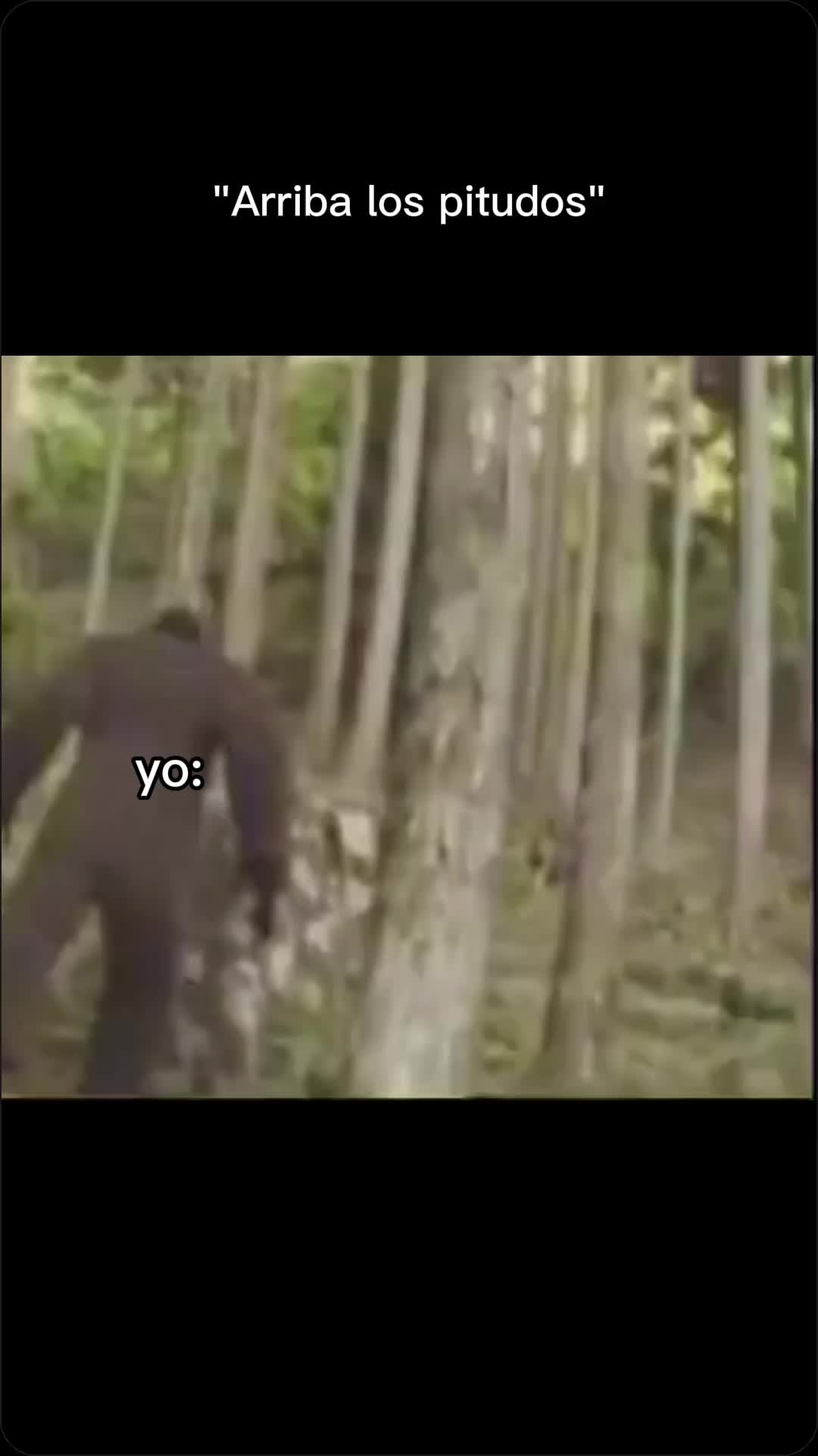 @srlentes2