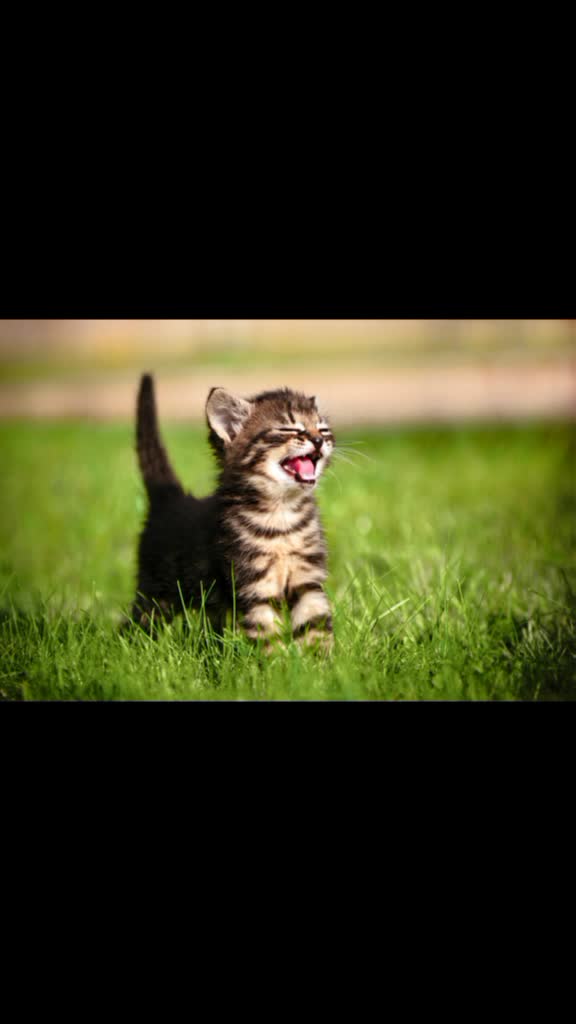 @Kamila Schleich