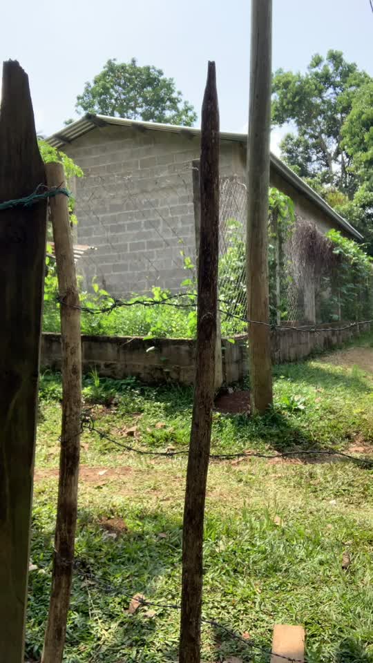 @Moisés Enamorado