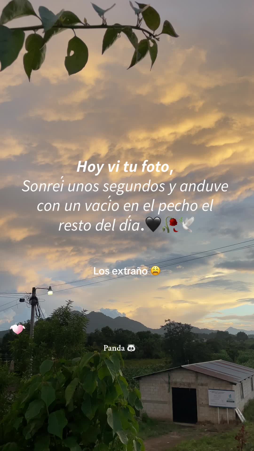 @chica06panda