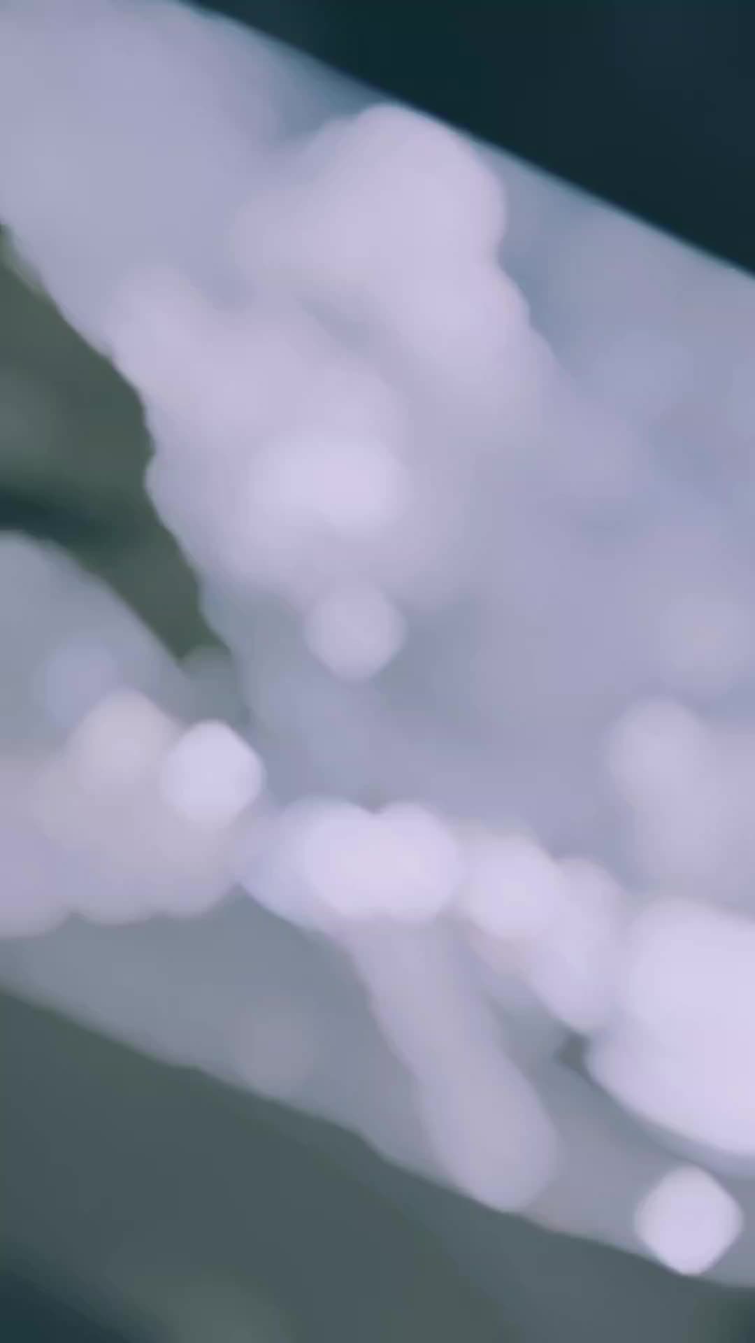 @⠀⠀𓆩🇹🇷ۦۦۦ تأأإجۦۦۦ🇮🇶𓆪