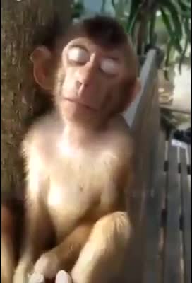 @Devraju papu