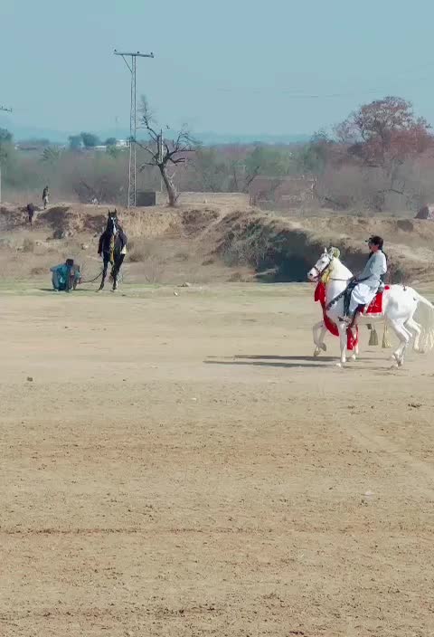 @Malik_Irfan_Shahbazi