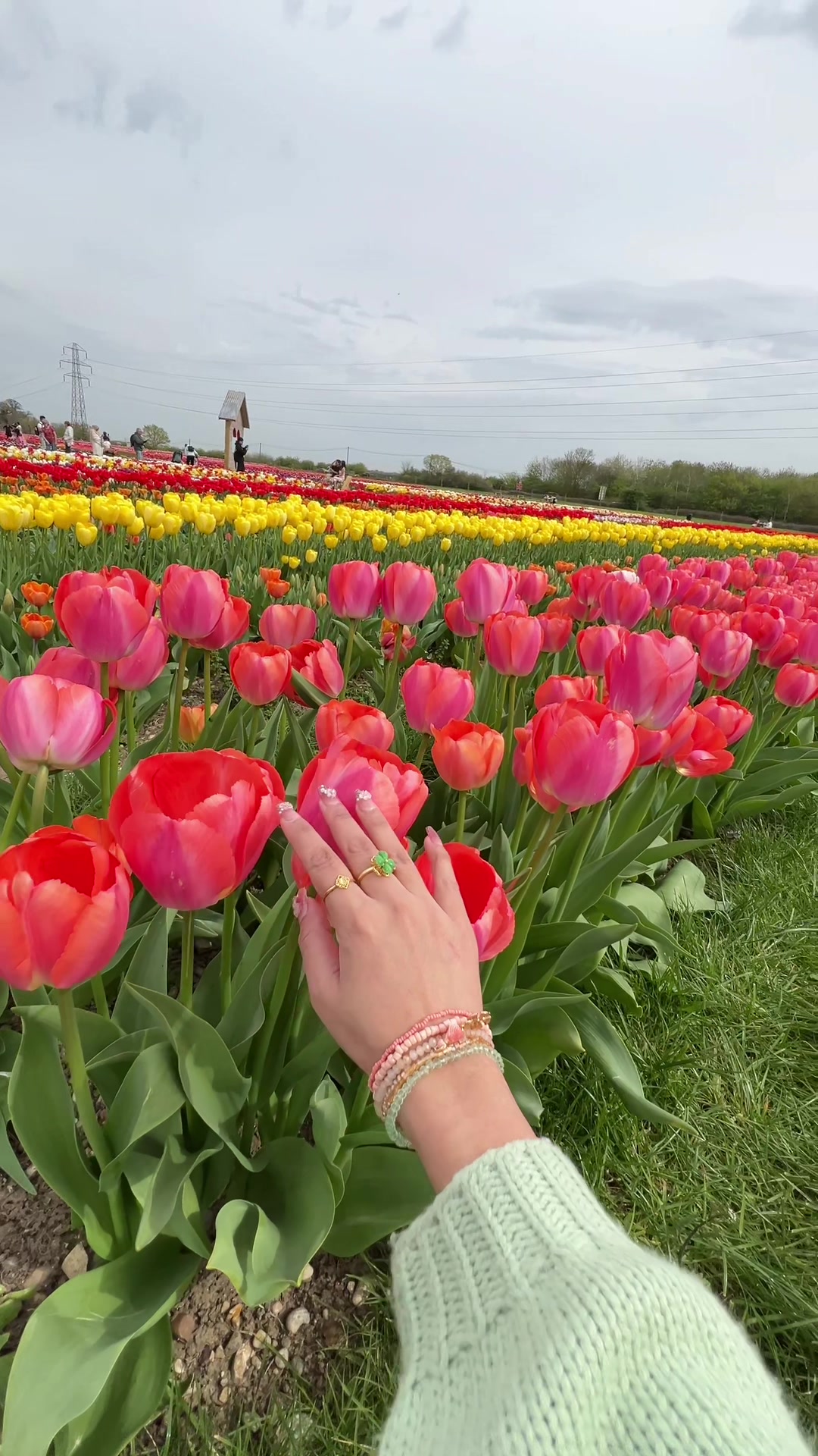 @🌿🌷মিলা🌷🌿