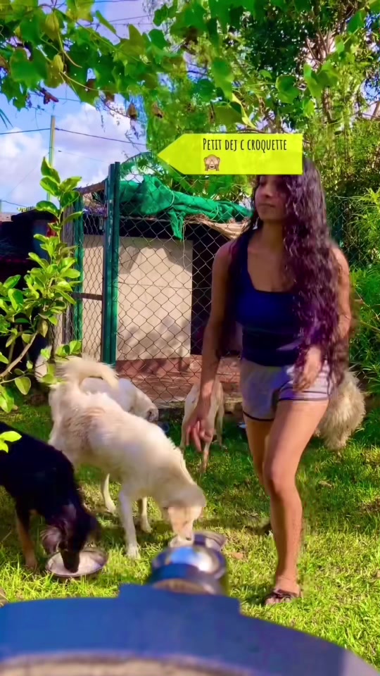 @Jess 💃🐾🐾🇲🇺