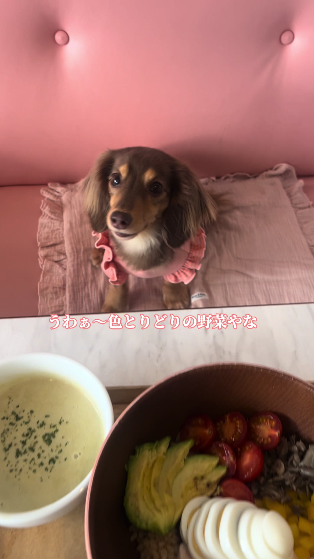@wanwanカフェ物語