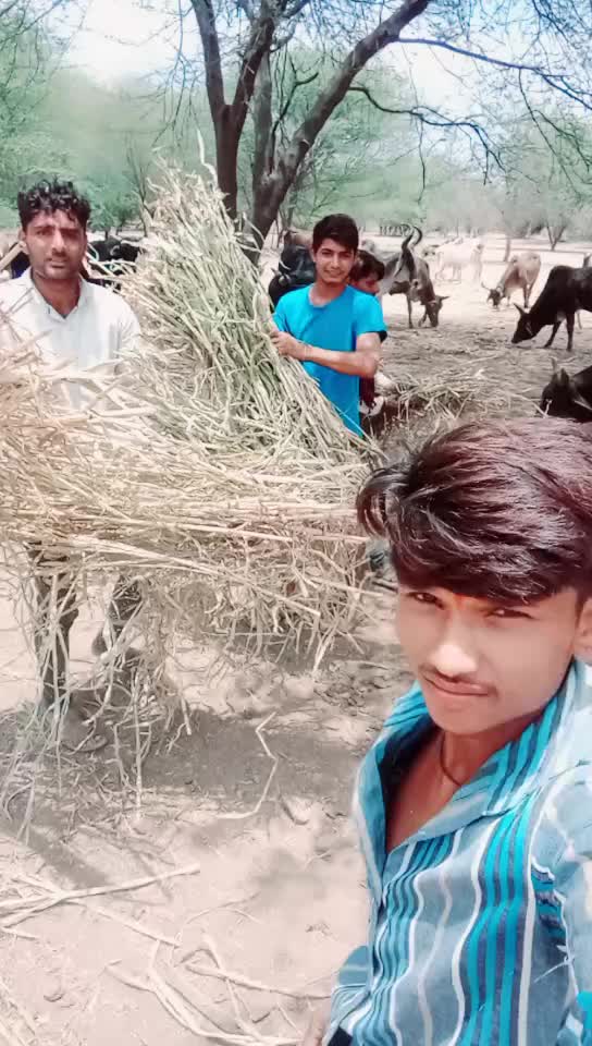 @Bharat Majiyatar42