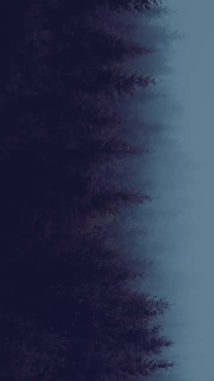 @๐>–๐–{S๐p}——>๐ซ