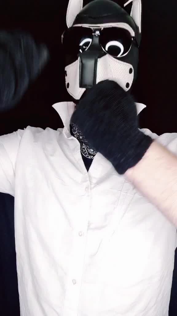@Pup_Koba