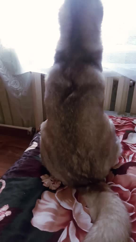 @НАТАЛЬЯ ЛИМАНСКАЯ