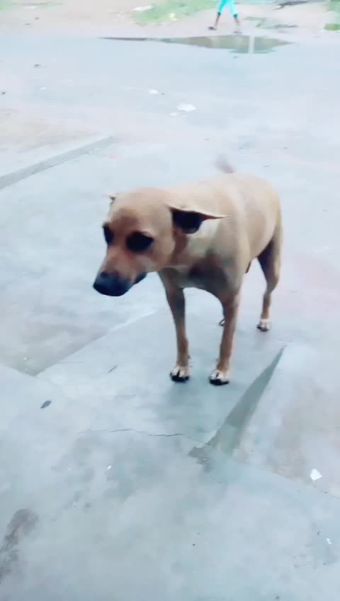 @Sidhanta Sahu Bapi