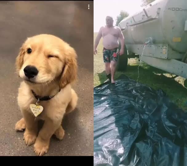 @jesuisunchienlol