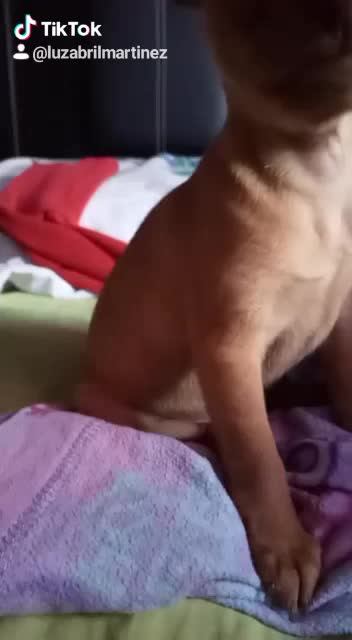 @montymtz