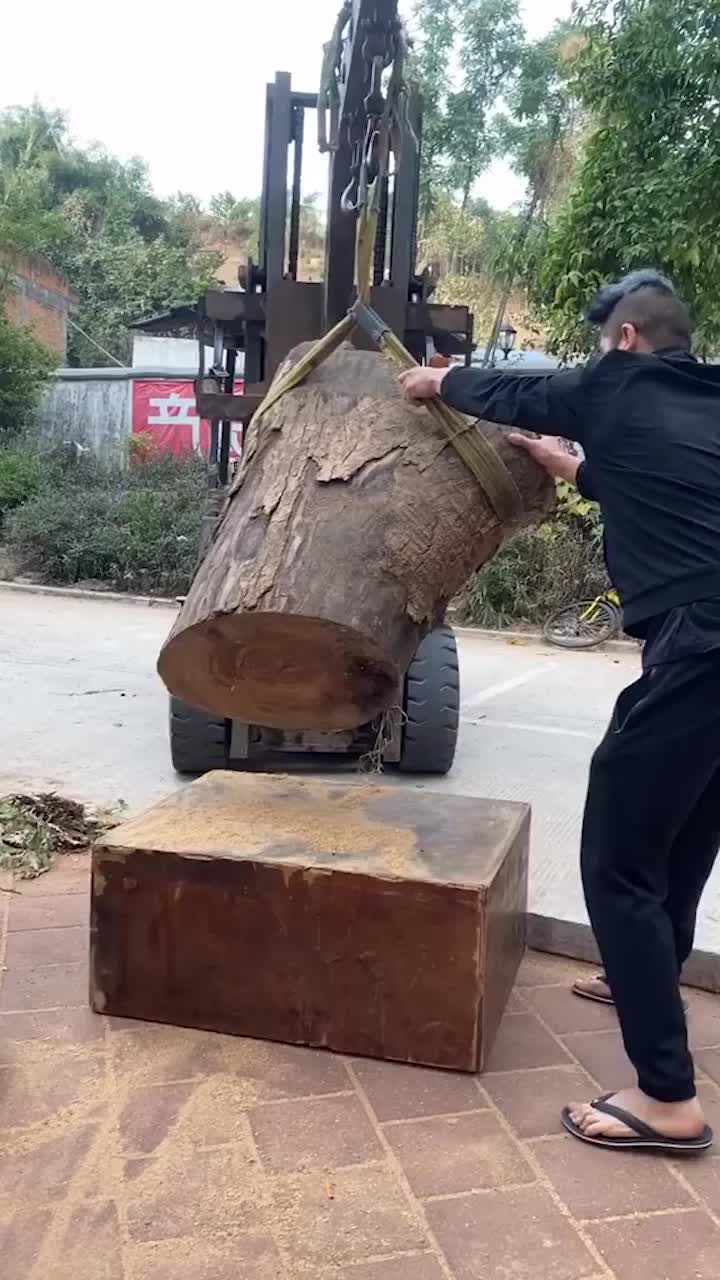 @GoldenCarpenter