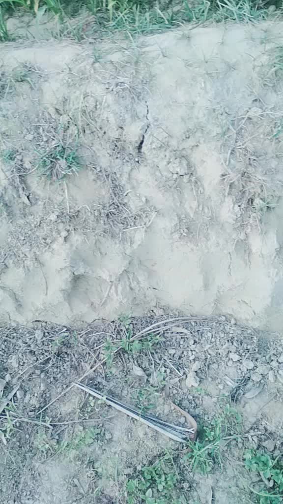 @सिंगर nikka bhati