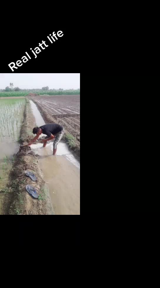 @ਅਮਨਦੀਪ ਸਿੱਧੂ
